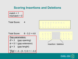 Scoring Insertions and Deletions A T G T T A T A C T A T G T G C G T A T A   Total Score:  4 Gap parameters: d  = 3 (gap opening) e  = 0.1 (gap extension) g  = 3 (gap lenght)  (g)  = -3 - (3 -1) 0.1 = -3.2   T A T G T G C G T A T A  A T G T - - - T A T A C insertion / deletion match = 1 mismatch = 0 Total Score: 8 - 3.2 = 4.8 
