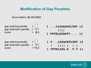 Modification of Gap Penalties 1 V...LSPADKFLTNV 12 |  |||| |  | | 1 VFTELSPA.K..T.V 11 1 ...VLSPADKFLTNV 12 ||||  1 VFTELSPAKTV.... 11 gap opening penalty =  0 gap extension penalty =  0.1 score =  11.3 Score Matrix: BLOSUM62 gap opening penalty =  3 gap extension penalty =  0.1 score =  6.3 