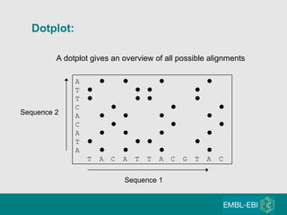 Dotplot: A              T         T         C            A             C        A             T         A             T A C A T T A C G T A C Sequence 1 Sequence 2 A dotplot gives an overview of all possible alignments 