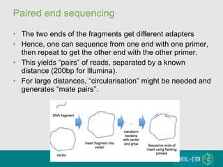 Paired end sequencing The two ends of the fragments get different adapters Hence, one can sequence from one end with one primer, then repeat to get the other end with the other primer. This yields “pairs” of reads, separated by a known distance (200bp for Illumina). For large distances, “circularisation” might be needed and generates “mate pairs”. 