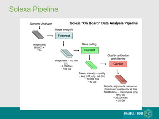 Solexa Pipeline 