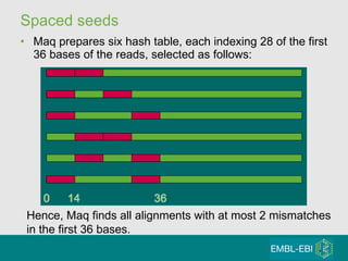 Spaced seeds Maq prepares six hash table, each indexing 28 of the first 36 bases of the reads, selected as follows: Hence, Maq finds all alignments with at most 2 mismatches in the first 36 bases.  