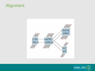 Alignment 