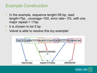 Example Construction In the example, sequence length=38 bp, read length=7bp , coverage~10X, error rate~ 3%, with one major repeat = 11bp k is chosen to be 5 bp Velvet is able to resolve this toy example!  