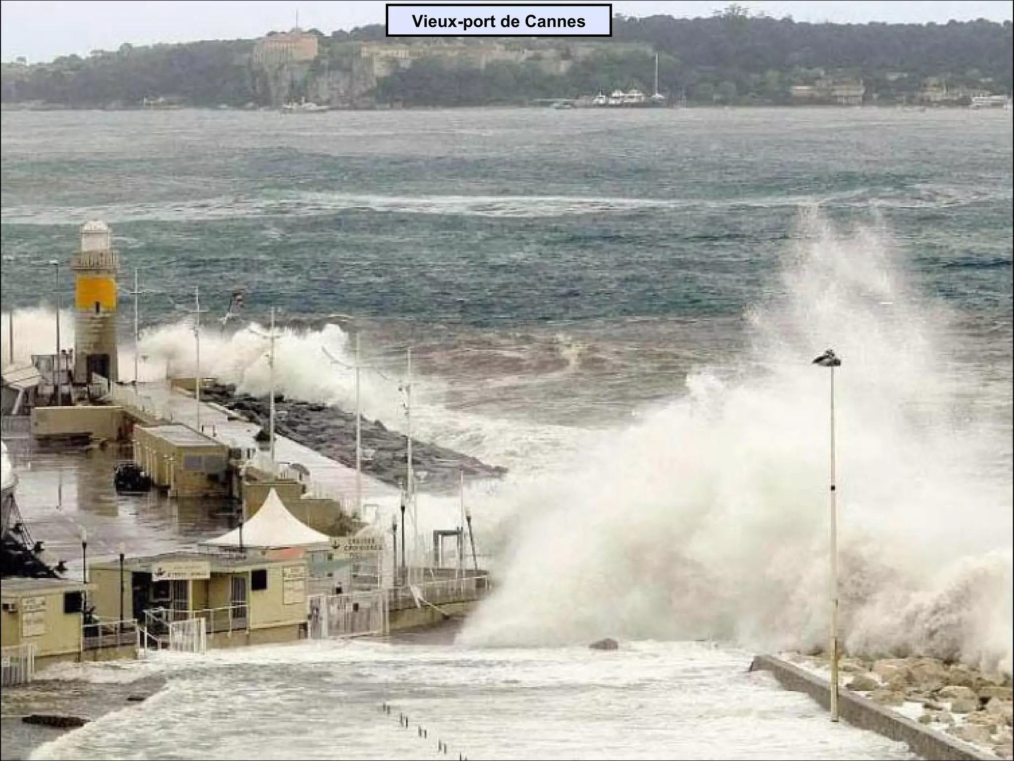 Vieux-port de Cannes