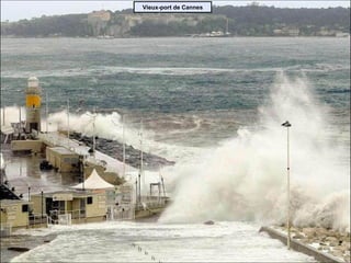 Vieux-port de Cannes 
