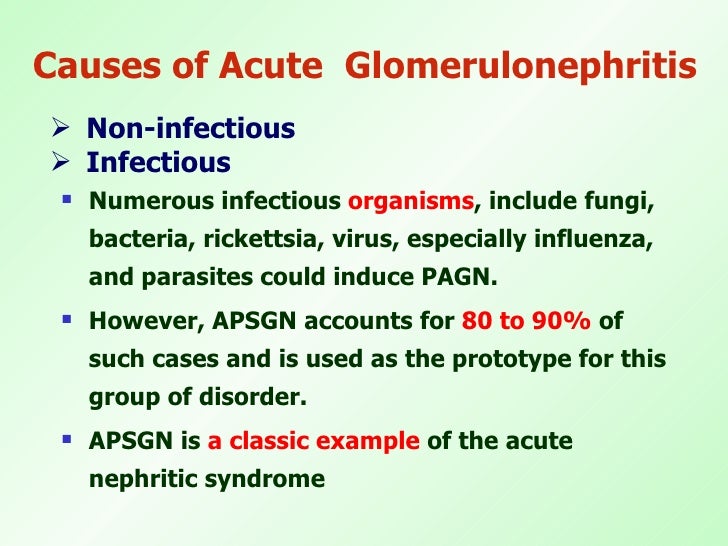 20100603 acute glomerulonephritis