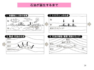 石油が誕生するまで 