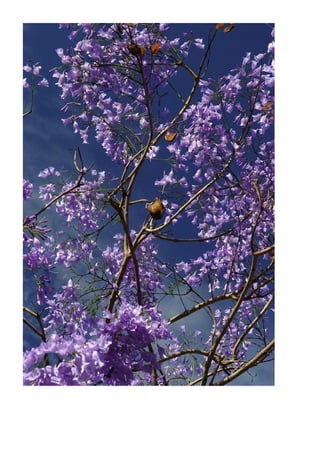 人間無條件（美滿） -吳念真20100614