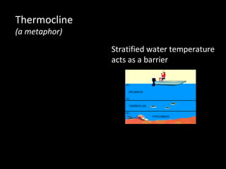 Pattern 3: Disruptive Innovation
• Clayton M. Christensen: The Innovator’s
  Dilemma




                                  (Via Amazon)

                                  http://www.amazon.com/Inno
                                  vators-Dilemma-
                                  Revolutionary-Business-
                                  Essentials/dp/0060521996
 
