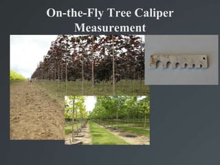 On-the-Fly Tree Caliper Measurement,[object Object]