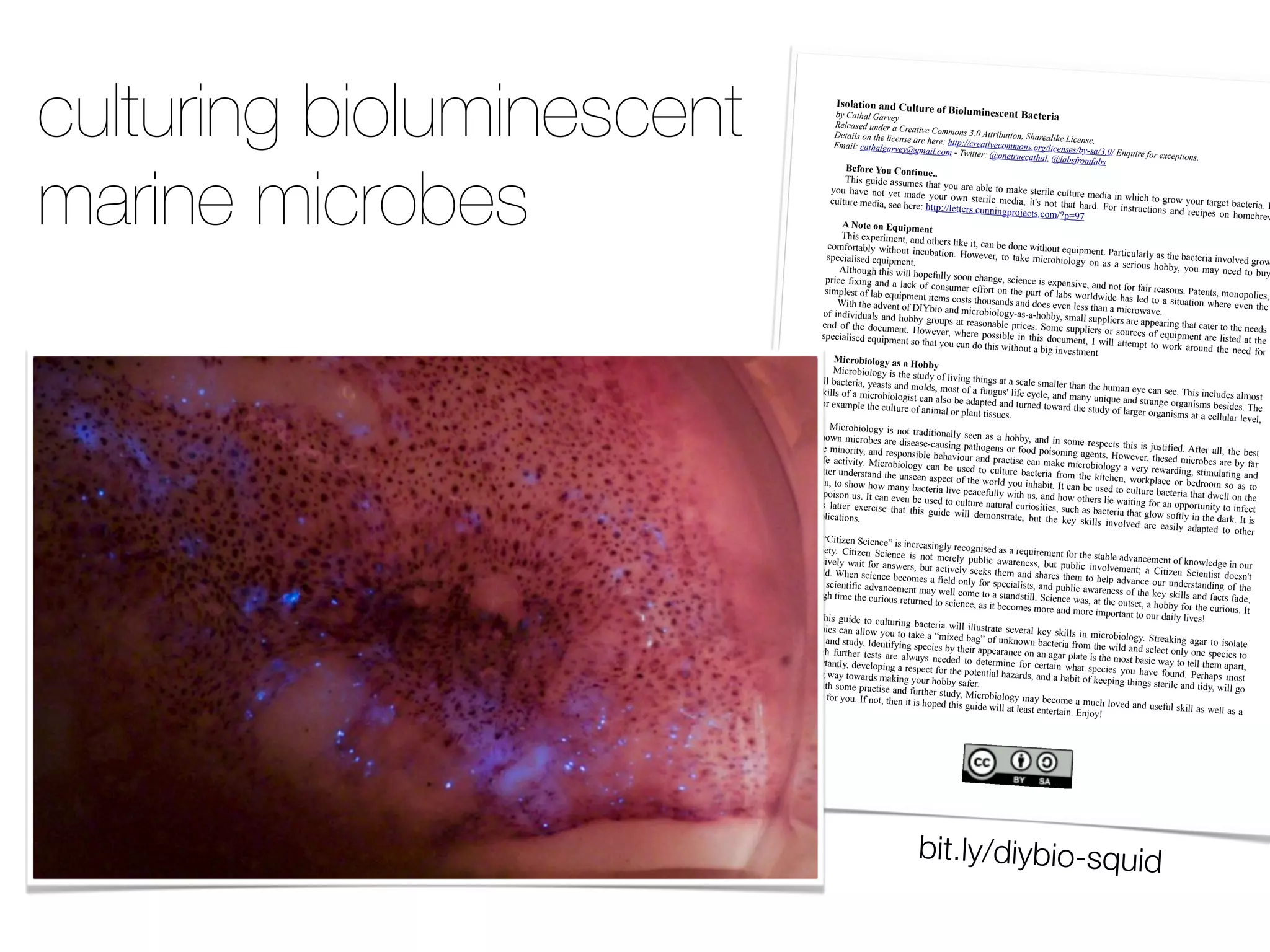 culturing bioluminescent               !"#$%&'#()%(*)+,$&,-
                                      !"#$%&'%(#)%*+,"#
                                      -,(,%.,/#01/,*#%#$*
                                                           .)#

                                      >,&%2(.#31#&',#(2=,1.,#%
                                      D4%2(?#=%&'%(B%*+,"H
                                                                      /)0'#$,1'(."2.(&)0%
                                                           ,%&2+,#$34431.#567
                                                               *,#',*,?#'&&@?AA=*,%&2+
                                                             B4%2(6=34#C#IJ2&&,*?
                                                                                                  2&.-'%
                                                                                  #8&&*2!0&2319#:'%*,%(

                                                                                    #H31,&*0,=%&'%(9#H
                                                                                                        2;,#<2=,1.,6
                                                                                      ,=34431.63*BA(2=,1.
                                                                                                             ,.A!"C.%A567A#D1E02*
                                                                                                          (%!.F*34F%!.
                                                                                                                                 ,#F3*#,G=,@&231.6




marine microbes
                                            0./#-.)3#,)+#(&'(,
                                                                        .44
                                            !"#$%&'#()%*$$'+)$%,"
                                       -.' %"*9)% 4., %-),%+              *,% -.'%*/)%*01)%,.%+
                                                                  *() %-.'/% .54%$,)/#1)            *2)%$,)/#1)%3'1,'/)% +)
                                                                                               %+)(#*:% #,;$ %4.,%,"*,%            (#*%#4%5"#3"%,.%&/.5
                                       3'1,'/)%+)(#*:%$))%")/
                                                                    )>%",,=>??1),,)/$63'44                                  "*/(6% <./%#4$,/'3,#.4$% %-.'/% ,*/&), %0*3,)/#*6%7
                                                                                              #4&=/.@)3,$63.+?A=BC                                       *4( %/)3#=)$% .4 %".+)
                                                                                                                            D                                                         0/)5
                                           5)6#&.)#()78,'91.
                                                                      (&%
                                           !"#$%)E=)/#+)4,:%*4(%.
                                      3.+8./,*01-% 5#,".'                ,")/$%1#2)%#,:%3*4%0)%(
                                                               ,%#43'0*,#.46% H.5)9)/               .4)%5#,".',%)F'#=+)4,
                                                                                              :%,. %,*2)% +#3/.0#.1.&               6%G*/,#3'1*/1-%*$%,")%0*
                                      $=)3#*1#$)(%)F'#=+)4,                                                                  -%.4%*$%* %$)/#.'$% ".0             3,)/#*%#49.19)(%&/.5
                                                                  6                                                                                     0-: %-.'%+*-% 4))(%,
                                          I1,".'&"%,"#$%5#11%".=                                                                                                                    .%0'-
                                     =/#3)% 8#E#4& %*4(%* %1*           )8'11-%$..4%3"*4&):%$3
                                                               32% .8% 3.4$'+)/% )88./,              #)43)%#$%)E=)4$#9):%*4
                                                                                              %.4 %,")%=*/, %.8 %1*0$%             (%4.,%8./%8*#/%/)*$.4$
                                     $#+=1)$,%.8%1*0%)F'#=+                                                               5./1(5#()%"*$% 1)( %,.               6%G*,)4,$:%+.4.=.1#)$
                                                                   )4,%#,)+$%3.$,$%,".'$                                                              %*% $#,'*,#.4%5")/)%)                :%
                                         J#,"%,")%*(9)4,%.8%K                                 *4($%*4(%(.)$%)9)4%1)$                                                             9)4 %,")%
                                                                     7L0#.%*4(%+#3/.0#.1.                                     $%,"*4%*%+#3/.5*9)6
                                    .8% #4(#9#('*1$%*4( %".                                      &-M*$M*M".00-:%$+*11%$
                                                                00- %&/.'=$%*,%/)*$.                                             '==1#)/$%*/)%*==)*/#4&
                                    )4( %.8 %,")%(.3'+)4,6                                  4*01)%                                                           %,"*,%3*,)/%,.%,")%4))(
                                                                 %H.5)9)/:%5")/)%=.$$ =/#3)$6%N.+)%$'==1#)/$%./%$.'/3)$ %.8 %)F                                                           $%
                                    $=)3#*1#$)(%)F'#=+)4,                                       #01)%#4%,"#$ %(.3'+)4,                                   '#=+)4,% */) %1#$,)( %*,
                                                                %$.%,"*,%-.'%3*4%(.%,"                                        :%7 %5#11% *,,)+=,%,. %5                               %,")%
                                                                                             #$%5#,".',%*%0#&%#49)$,                                     ./2 %*/.'4(%,")% 4))(%8
                                                                                                                            +)4,6                                                       ./%
                                        :'2-#;'#$#<=)%")%)>
                                                                     #;;=
                                        O#3/.0#.1.&-%#$%,")%$
                                                                    ,'(-%.8%1#9#4&%,"#4&$%
                                   *11%0*3,)/#*:%-)*$,$%*                                       *,%*%$3*1)%$+*11)/%,"*4%
                                                            4(%+.1($:%+.$,%.8%*%8                                              ,")%"'+*4%)-)%3*4%$)
                                   $2#11$%.8%*%+#3/.0#.1.                                 '4&'$;%1#8)%3-31):%*4(%                                          )6%!"#$%#431'()$%*1+
                                                             &#$,%3*4%*1$.%0)%*(*=,                                     +*4-%'4#F')%*4(%$,/*                                         .$, %
                                   8./%)E*+=1)%,")%3'1,                                     )(%*4(%,'/4)(%,.5*/(                                    4&)%./&*4#$+$%0)$#()$
                                                           '/)%.8%*4#+*1%./%=1*4                                         %,")%$,'(-%.8%1*/&)/%.                                   6%!")%
                                                                                        ,%,#$$')$6                                                  /&*4#$+$%*,%*%3)11'1*/
                                                                                                                                                                                %1)9)1:%
                                       O#3/.0#.1.&-%#$%4.,%
                                                                  ,/*(#,#.4*11- %$))4% *$%
                                  24.54 %+#3/.0)$%*/)%                                         *%".00-:% *4( %#4 %$.+)
                                                            (#$)*$)M3*'$#4& %=*,".                                            %/)$=)3,$ %,"#$% #$% @'$,#8#
                                  ,") %+#4./#,-:%*4( %/)                                   &)4$%./%8..( %=.#$.4#4                                          )(6 %I8,)/ %*11:%,")% 0)$
                                                          $=.4$#01) %0)"*9#.'/%*                                          &%*&)4,$6% H.5)9)/:%,"                                       ,%
                                 $*8)%*3,#9#,-6 %O#3/.0#                                 4( %=/*3,#$) %3*4%+*2)                                       )$)(%+#3/.0)$%*/)% 0-
                                                             .1.&- %3*4%0)%'$)( %,.                                   %+#3/.0#.1.&- %*% 9)/                                        %8*/%
                                 0),,)/%'4()/$,*4(%,"                                       %3'1,'/)% 0*3,)/#*% 8/.                             -%/)5*/(#4&:%$,#+'1*
                                                         )%'4$))4%*$=)3,%.8%,"                                         +% ,") %2#,3")4: %5./2                              ,#4&%*4(%
                                 $2#4:%,.%$".5%".5%+                                  )%5./1(%-.'%#4"*0#,6%                                        =1*3)% ./% 0)(/..+% $.%
                                                          *4-%0*3,)/#*%1#9)%=)*3                                   7,%3*4%0)%'$)(%,.%3'1,                                       *$% ,.%
                                ./%=.#$.4%'$6%7,%3*4%)                                   )8'11-%5#,"%'$:%*4(%"                                 '/)%0*3,)/#*%,"*,%(5
                                                           9)4%0)%'$)(%,.%3'1,'/                                     .5%.,")/$%1#)%5*#,#4&                               )11%.4%,")%
                                ,"#$ % 1*,,)/ %)E)/3#$) %,"                             )%4*,'                                                   %8./%*4%.==./,'4#,-%,
                                                            *, % ,"#$ %&'#() %5#11 % ()+ /*1%3'/#.$#,#)$:%$'3"%*$%0*3,)/#*%,"*,%&1.5                                       .%#48)3,%
                                *==1#3*,#.4$6                                                .4$,/*,): % 0', % ,") % 2)-                               %$.8,1-%#4%,")%(*/26%7,
                                                                                                                           % $2#11$ % #49.19)( %*/)                                %#$%
                                                                                                                                                     %)*$#1- %*(*=,)( % ,.% .,"
                                                                                                                                                                                    )/%
                                    PQ#,#R)4%N3#)43)S%#$%#
                                                               43/)*$#4&1-%/)3.&4#$)
                               $.3#),-6%Q#,#R)4 %N3#)4                                       (%*$%*%/)F'#/)+)4,%8.
                                                           3)% #$% 4., %+)/)1-% ='0                                       /%,")%$,*01)%*(9*43)+)
                               =*$$#9)1- %5*#, %8./%*                                     1#3 %*5*/)4)$$:% 0', %='                                     4,%.8%24.51)(&)%#4%.'
                                                       4$5)/$:%0',% *3,#9)1-%                                            01#3%#49.19)+)4,T %*%                                      /%
                              5./1(6%J")4%$3#)43)%                                  $))2$% ,")+% *4( %$"*/)                                         Q#,#R)4%N3#)4,#$,% (.)
                                                          0)3.+)$% *%8#)1(%.41-%                                  $%,")+ %,. %")1=% *(9*43                                      $4;,%
                              ,")4%$3#)4,#8#3%*(9*4                                     8./ %$=)3#*1#$,$:%*4(%='                                )%.'/% '4()/$,*4(#4&%.
                                                        3)+)4,%+*-%5)11%3.+                                           01#3%*5*/)4)$$%.8%,"                                   8%,")%
                             #$%"#&"%,#+)%,")%3'/#.'$                                 )%,.%*%$,*4($,#116%N3#)4                                   )%2)-% $2#11$%*4(%8*3,$
                                                           %/),'/4)(%,.%$3#)43):                                     3)%5*$:%*,%,")%.',$),:%                                %8*():%
                                                                                       %*$%#,%0)3.+)$%+./)%                                      *%".00-%8./%,")%3'/#.
                                                                                                                  *4(%+./)%#+=./,*4,%,.                                      '$6%7,%
                                   !"#$% &'#()% ,.% 3'1,'/                                                                                      %.'/%(*#1-%1#9)$U
                                                            #4& %0*3,)/#* %5#11% #11'
                             3.1.4#)$%3*4%*11.5%-.                                       $,/*,)% $)9)/*1%2)-% $2#
                                                         '%,.%,*2)%*%P+#E)(%0*                                         11$ %#4 %+#3/.0#.1.&-6
                            &/.5%*4(%$,'(-6%7()4,                                     &S%.8%'424.54%0*3,                                         %N,/)*2#4&%*&*/ %,. %#$.
                                                        #8-#4&%$=)3#)$%0-%,")                                    )/#*%8/.+ %,")%5#1(%*4                                       1*,) %
                            ,".'&" %8'/,")/% ,)$,$%                                 #/%*==)*/*43)%.4%*4%*&                                    (%$)1)3,%.41-%.4)%$=)
                                                       */) %*15*-$% 4))()( %,.                                     */%=1*,)%#$%,")%+.$,%0*                                3#)$%,.%
                           #+=./,*4,1-:%()9)1.=#                                     %(),)/+#4) %8./%3)/,*#4                                    $#3%5*-%,.%,)11%,")+%
                                                       4&%*%/)$=)3,%8./%,")%=                                        %5                                                    *=*/,:%
                           *%1.4&%5*-%,.5*/($%+                                     .,)4,#*1%"*R*/($:%*4(%* "*, %$=)3#)$% -.' %"*9) %8.'4(6%G)/"*=$ %+
                                                        *2#4&%-.'/%".00-%$*8)                                      %"*0#,%.8%2))=#4&%,"#4&                                    .$, %
                                 J#,"% $.+)%=/*3,#$)%*4                               /6                                                          $%$,)/#1)%*4(%,#(-:%5#11%
                                                             (%8'/,")/ %$,'(-: %O#3/                                                                                           &.%
                           ".00-%8./%-.'6%78%4.,:                                          .0#.1.&-%+*-% 0)3.+
                                                      %,")4%#,%#$%".=)(%,"#$                                            )%*%+'3"%1.9)(%*4(%'
                                                                                  %&'#()%5#11%*,%1)*$,%)4                                           $)8'1% $2#11%*$%5)11 %*$
                                                                                                               ,)/,*#46%V4@.-U                                                 %*%




                                                                   bit.ly/diybio-squid
 