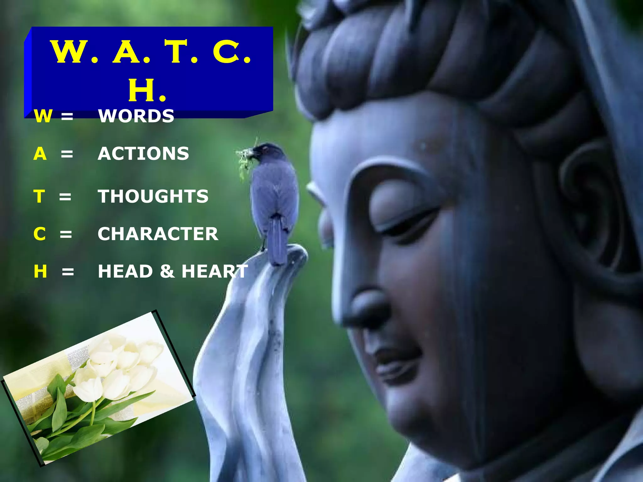 W. A. T. C. H.   W  = WORDS A  = ACTIONS T  = THOUGHTS C  = CHARACTER H  = HEAD & HEART 