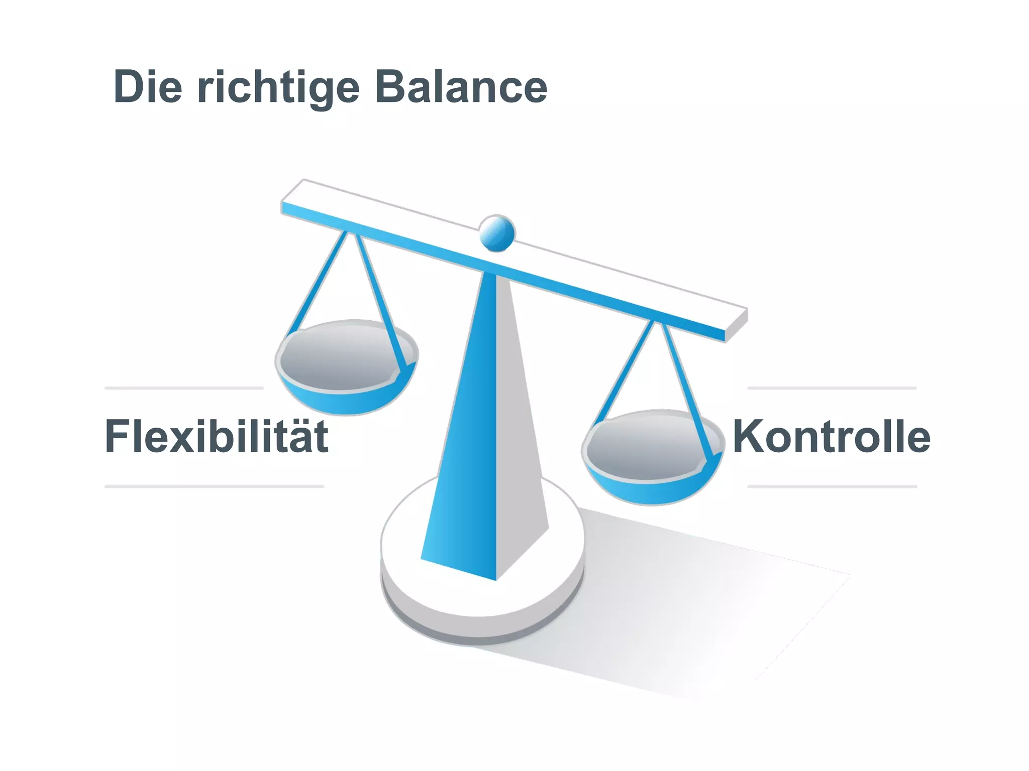 Die richtige Balance




Flexibilität           Kontrolle
 
