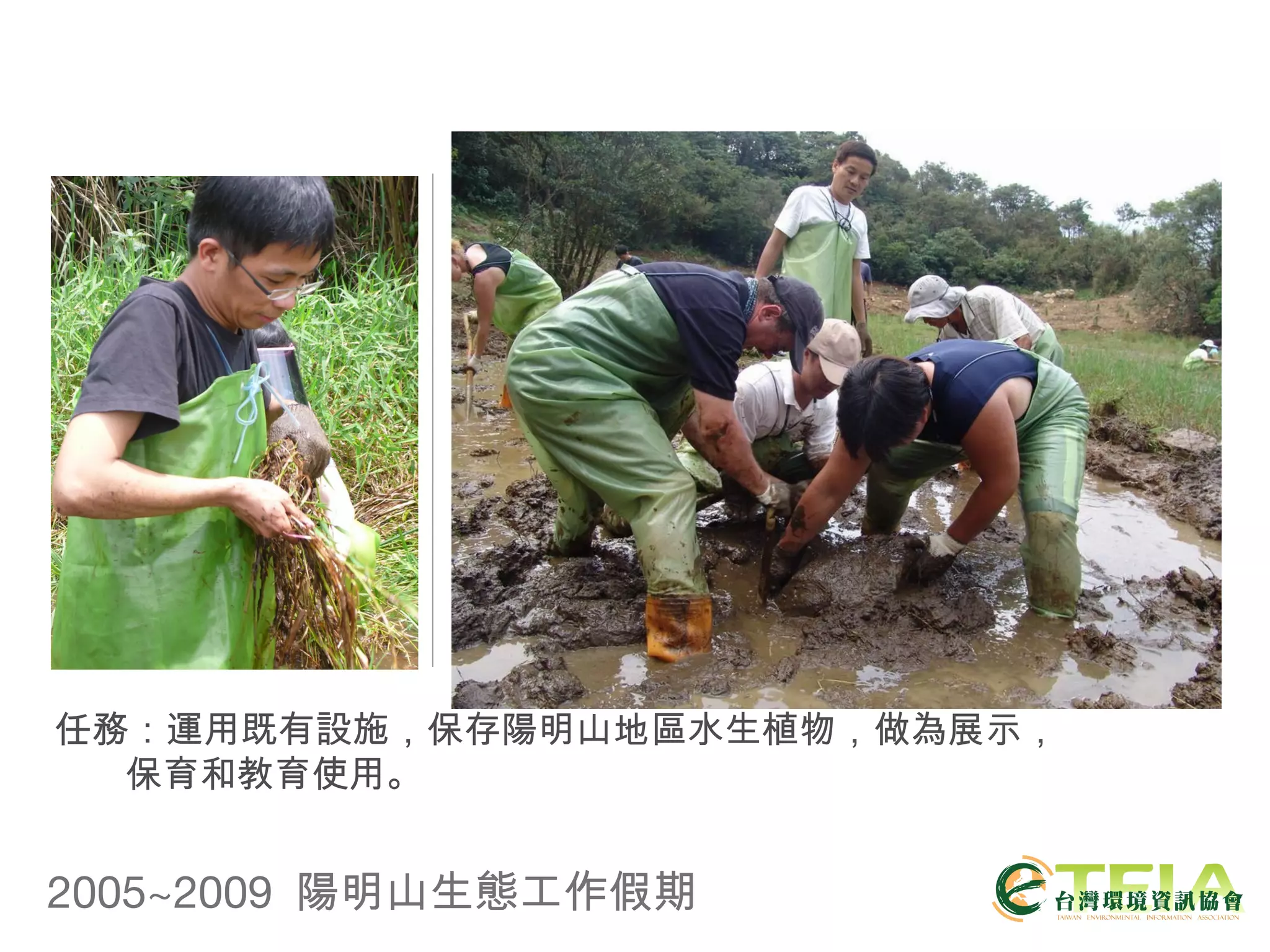 2005~2009  陽明山生態工作假期 任務：運用既有設施，保存陽明山地區水生植物，做為展示， 保育和教育使用。 
