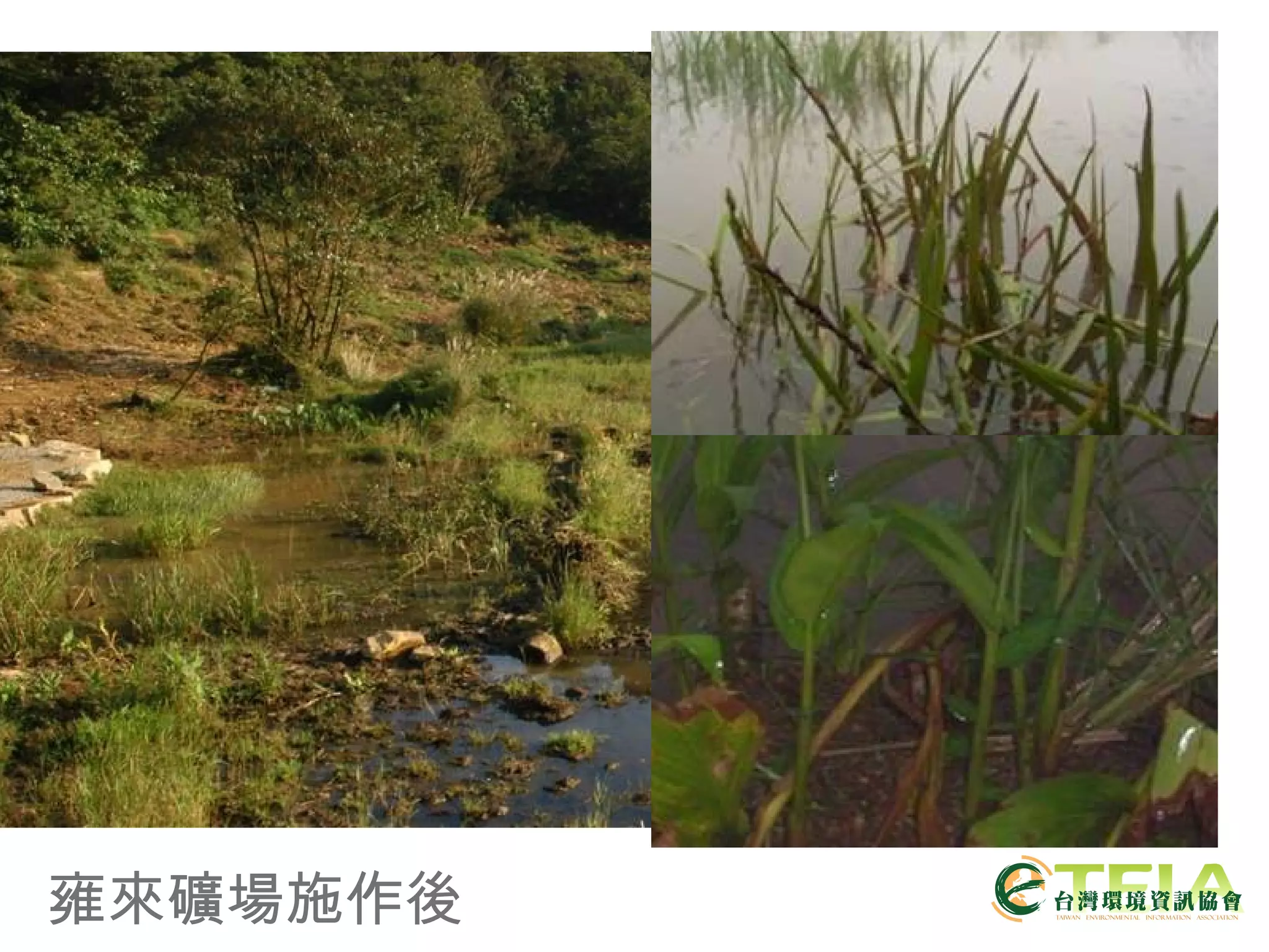 雍來礦場施作後 