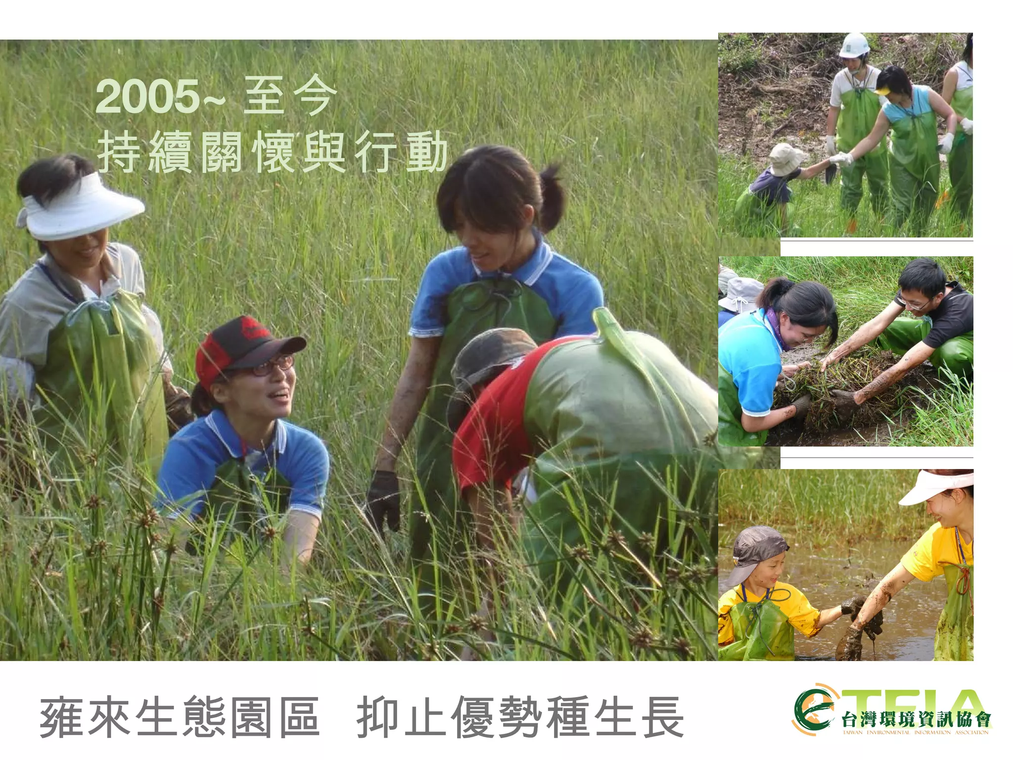 雍來生態園區  抑止優勢種生長 2005~ 至今 持續關懷與行動 