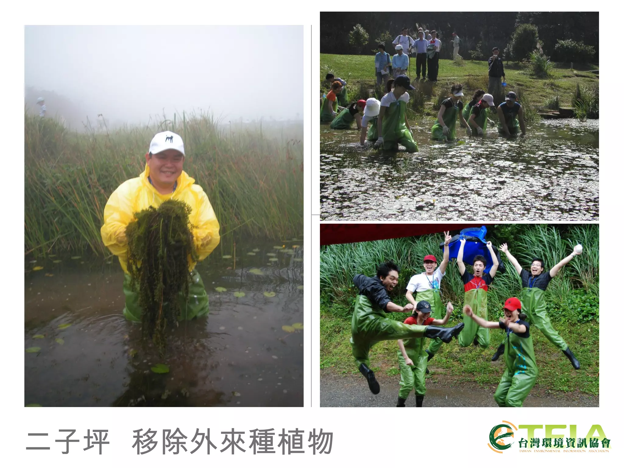 二子坪  移除外來種植物 