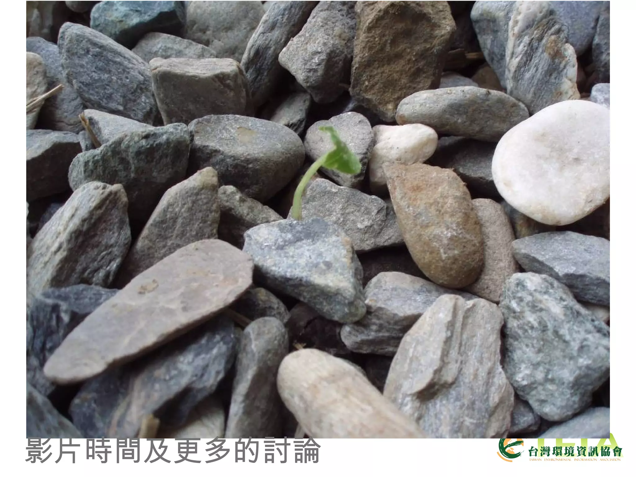 影片時間及更多的討論 