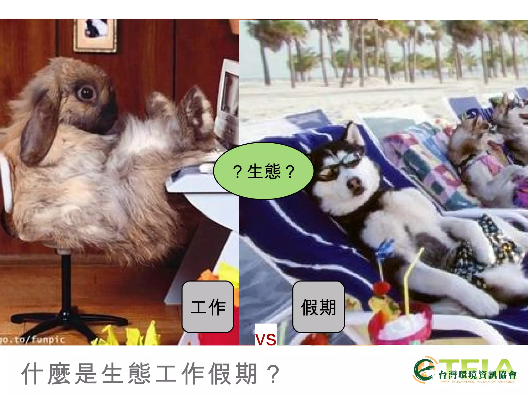 什麼是生態工作假期？ 工作 假期 vs ？生態？ 