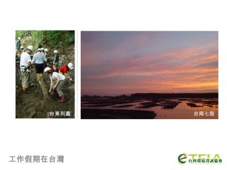 工作假期在台灣 台南七股 台東利嘉 
