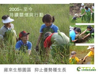 雍來生態園區  抑止優勢種生長 2005~ 至今 持續關懷與行動 