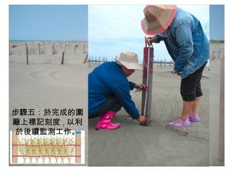 步驟五：於完成的圍籬上標記刻度 , 以利於後續監測工作。 