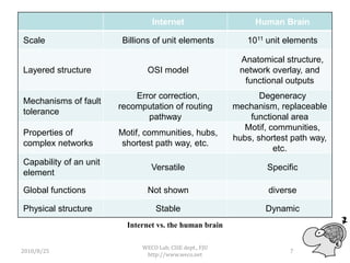 On the Development of a Brain Simulator | PPTX