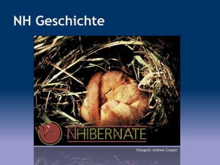 NH Geschichte
Fotograf: Andrew Cooper
 