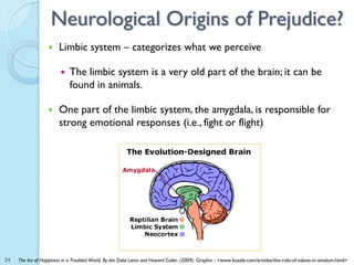 Neurological Origins of Prejudice?
                       Limbic system – categorizes what we perceive

                 ...