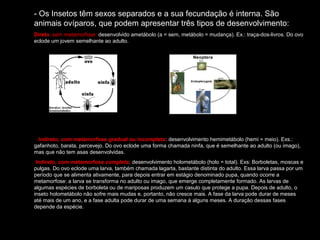 • - Os Insetos têm sexos separados e a sua fecundação é interna. São
animais ovíparos, que podem apresentar três tipos de desenvolvimento:
• Direto ,sem metamorfose: desenvolvido ametábolo (a = sem, metábolo = mudança). Ex.: traça-dos-livros. Do ovo
eclode um jovem semelhante ao adulto.
Indireto, com metamorfose gradual ou incompleta: desenvolvimento hemimetábolo (hemi = meio). Exs.:
gafanhoto, barata, percevejo. Do ovo eclode uma forma chamada ninfa, que é semelhante ao adulto (ou imago),
mas que não tem asas desenvolvidas.
• Indireto, com metamorfose completa: desenvolvimento holometábolo (holo = total). Exs: Borboletas, moscas e
pulgas. Do ovo eclode uma larva, também chamada lagarta, bastante distinta do adulto. Essa larva passa por um
período que se alimenta ativamente, para depois entrar em estágio denominado pupa, quando ocorre a
metamorfose: a larva se transforma no adulto ou imago, que emerge completamente formado. As larvas de
algumas espécies de borboleta ou de mariposas produzem um casulo que protege a pupa. Depois de adulto, o
inseto holometábolo não sofre mais mudas e, portanto, não cresce mais. A fase da larva pode durar de meses
até mais de um ano, e a fase adulta pode durar de uma semana á alguns meses. A duração dessas fases
depende da espécie.
•
 
