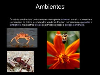 Ambientes
Os artrópodes habitam praticamente todo o tipo de ambiente: aquático e terrestre e
representam os únicos invertebrados voadores. Existem representantes parasitas e
simbióticos. Há registros fósseis de artrópodes desde o período Cambriano.
 