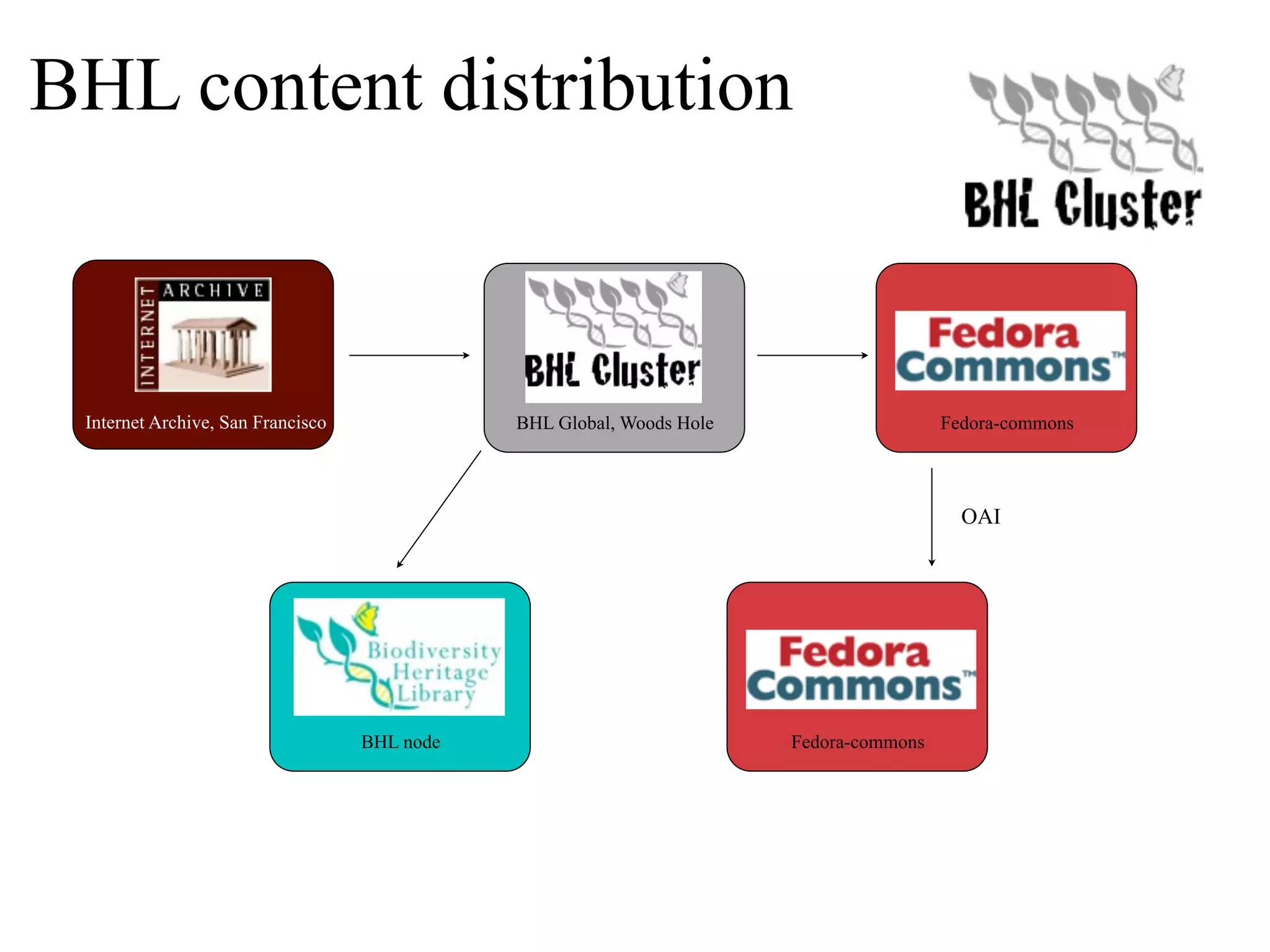 BHL content distribution Internet Archive, San Francisco BHL Global, Woods Hole Fedora-commons OAI BHL node Fedora-commons 