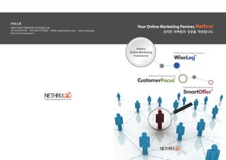 Nethru Online Marketing Framework