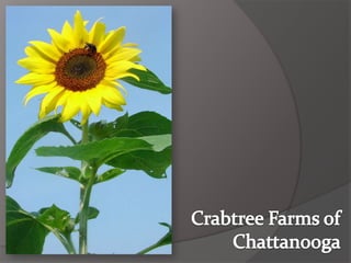 Crabtree Farms of Chattanooga 