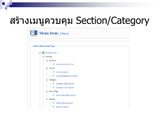 สร้างเมนูควบคุม Section/Category
 