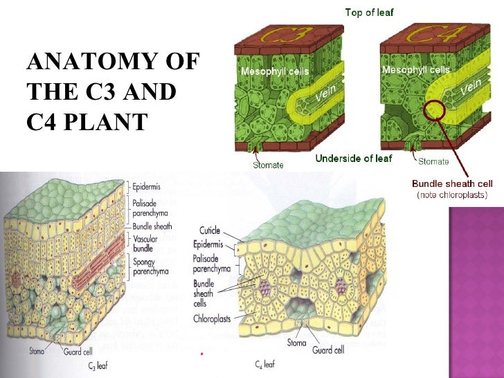 20100906140913beriani pbl