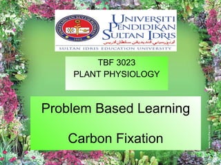 Problem Based Learning Carbon Fixation TBF 3023 PLANT PHYSIOLOGY 