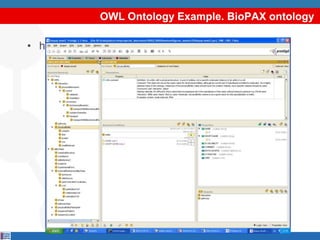 OWL Ontology Example. BioPAX ontology

• http://www.biopax.org/release/biopax-level2.owl
 
