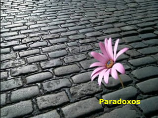 Paradoxos 