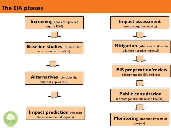 Environmental Impact Assessment Diagram