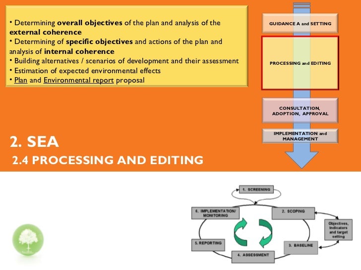 STRATEGIC ENVIRONMENTAL ASSESSMENT (SEA)