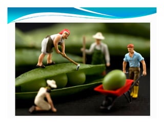 Conclusões
Por outro lado, só observar processos não resolve nada!
PESSOAS!
COLABORAÇÃO!
COMUNICAÇÃO!COMUNICAÇÃO!
INTEGRAÇÃO!
 