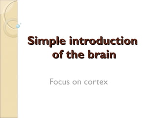 Simple introduction  of the brain Focus on cortex 