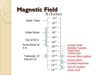Magnetic Field 