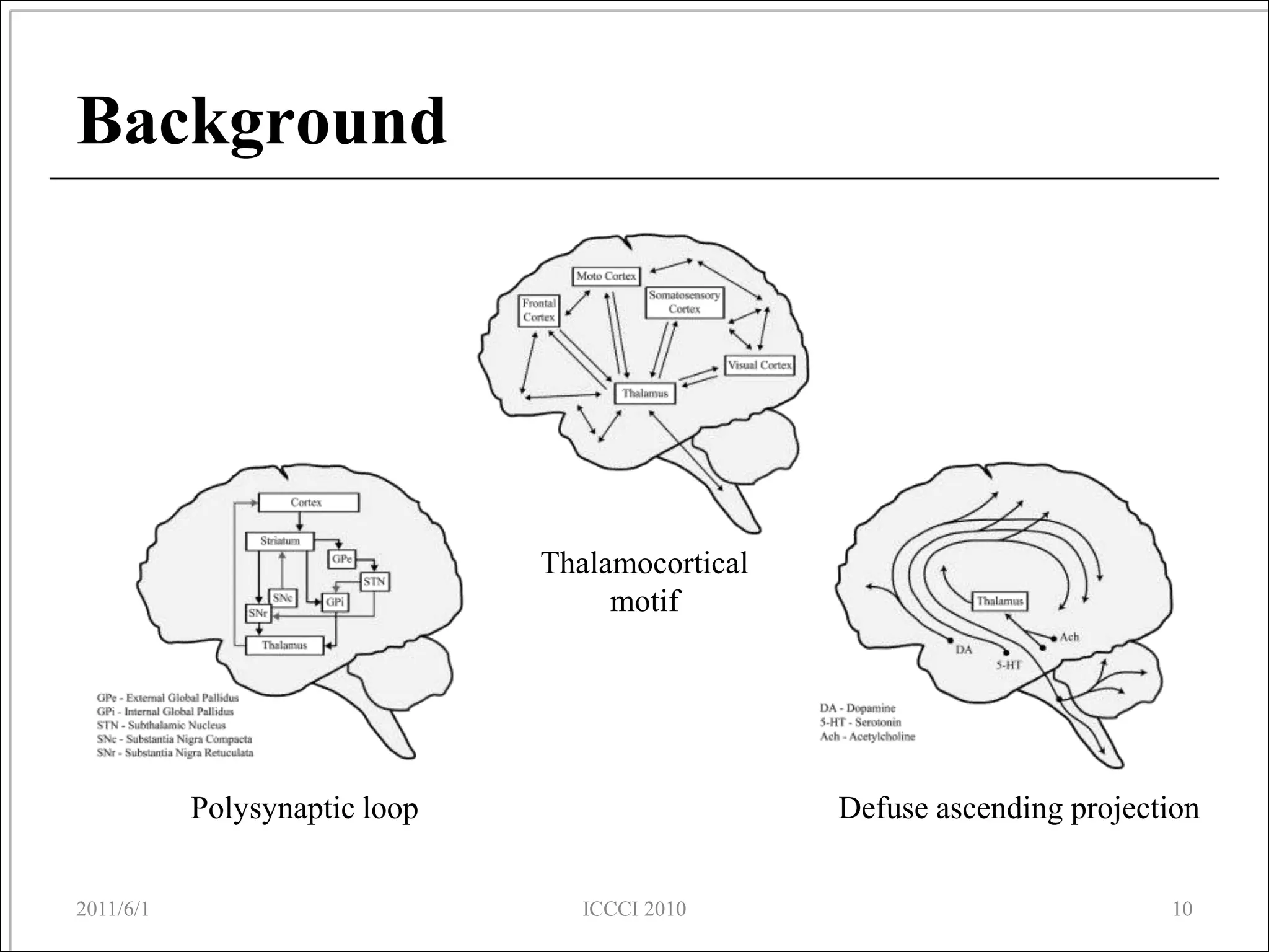 Background




                               Thalamocortical
                                    motif




           Polysynaptic loop                     Defuse ascending projection


2011/6/1                          ICCCI 2010                             10
 