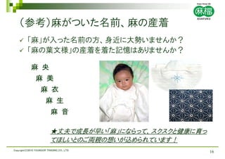 ヘンプ 麻 概要 栽培について