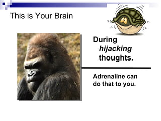 This is Your Brain

                     During
                      hijacking
                      thoughts.

                     Adrenaline can
                     do that to you.
 