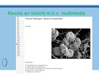 Kennis en inzicht m.b.v. multimedia
 