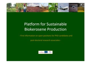 Platform for Sustainable
Biokerosene Production
- First information on open positions for PhD candidates and
post-doctoral research associates -
 